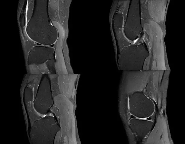 1550543509554823.jpg 1550543509554823.jpg