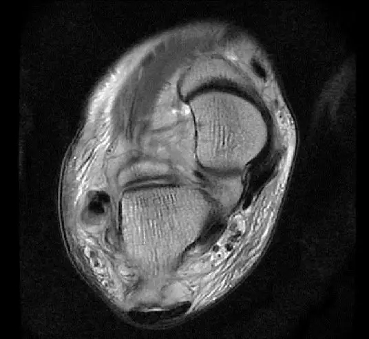 1550557291110626.jpg 1550557291110626.jpg