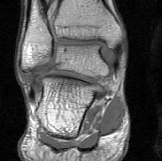 1550557928686239.jpg 1550557928686239.jpg