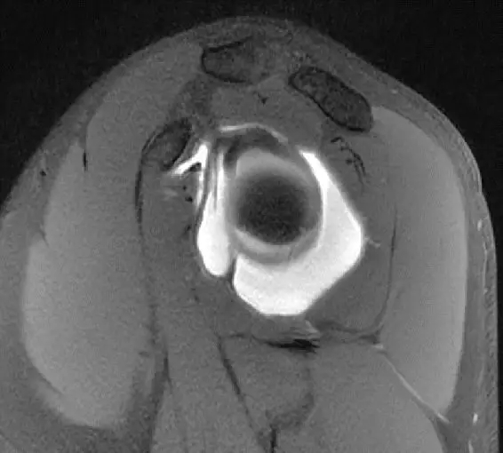 1550559009104493.jpg 1550559009104493.jpg