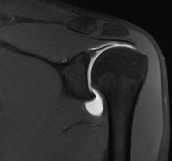 1550559093836803.jpg 1550559093836803.jpg