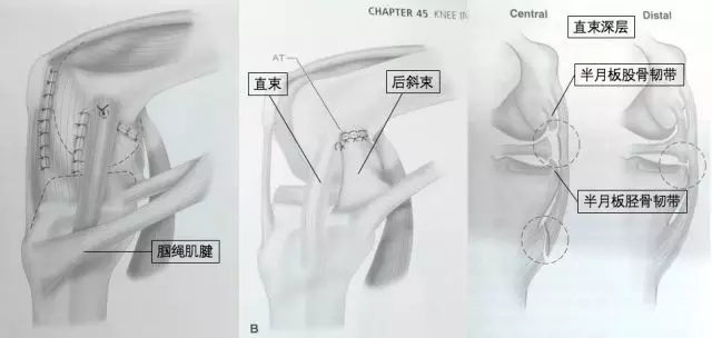 1550564052404925.jpg 1550564052404925.jpg