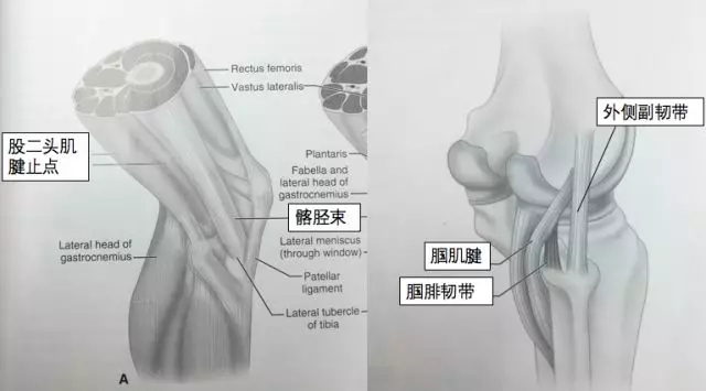 1550564070962237.jpg 1550564070962237.jpg