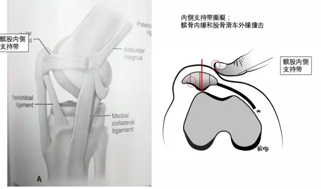 1550564083529241.jpg 1550564083529241.jpg