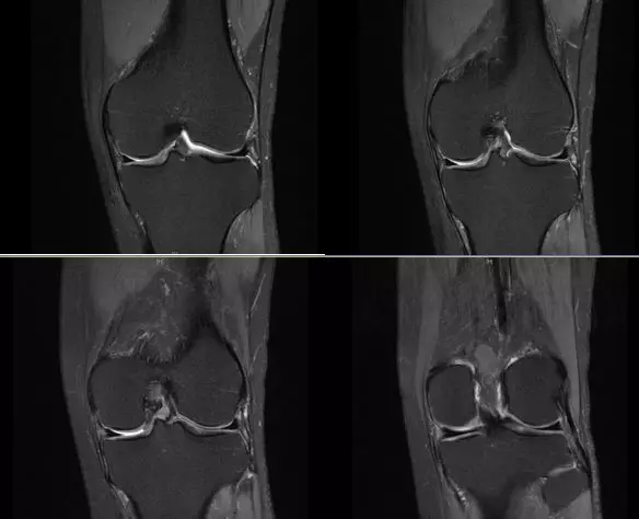 1550564111594988.jpg 1550564111594988.jpg