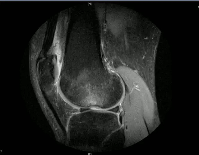 1550648902569376.jpg 640.webp (23).jpg